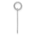 Sterling Silver/Rhodium-plated Satin Number 20 Charm - Image 2