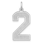 Sterling Silver/Rhodium-plated Satin Number 2 Charm