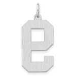 Sterling Silver/Rhodium-plated Satin Number 9 Charm - Image 3