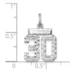 Sterling Silver Rhodium-plated Diamond-cut #30 Charm - Image 3