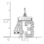 Sterling Silver Rhodium-plated Diamond-cut #43 Charm - Image 2