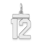 Sterling Silver/Rhodium-plated Polished Number 12 Charm