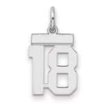 Sterling Silver/Rhodium-plated Polished Number 18 Charm