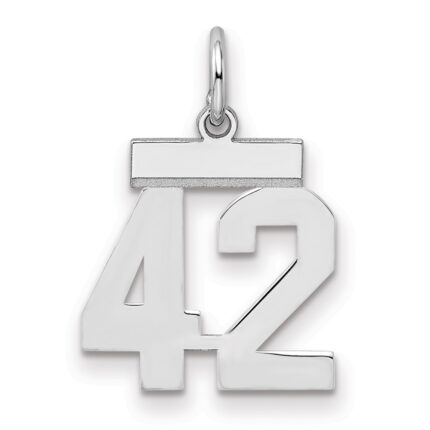 Sterling Silver/Rhodium-plated Polished Number 42 Charm