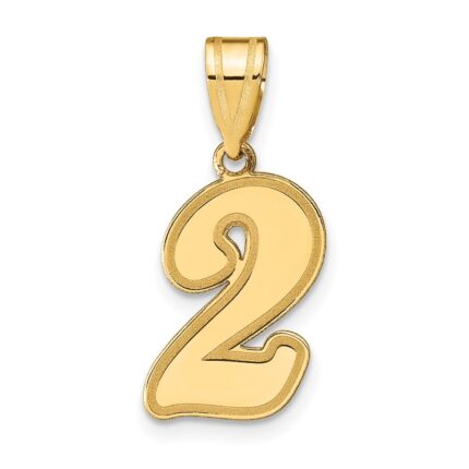 14k Brushed Border Script Number 2 Pendant