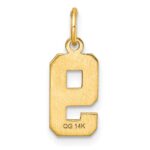 14k Small Brushed Diamond-cut Number 9 Charm - Image 3