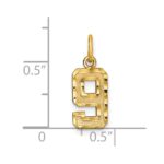 14k Small Brushed Diamond-cut Number 9 Charm - Image 4