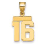 14k Small Polished Number 16 Charm