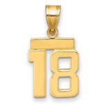 14k Small Polished Number 18 Charm