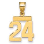 14k Small Polished Number 24 Charm