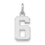 14kw Small Polished Number 6 Charm