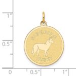 14k SIBERIAN HUSKY 20mm Engravable Disc Dog Charm - Image 3