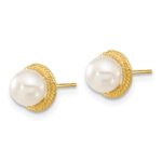 14k 5-6mm White Button Freshwater Cultured Pearl Post Earrings and Pendant Set - Image 4