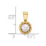 14k Polished 5-6mm Button White Freshwater Cultured Pearl Twisted Edge Pendant - Image 4