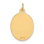 14k 23x16.5mm Oval Non-enameled Medical Jewelry Pendant - Image 3