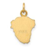 14k Hollow Polished and Satin Small Jesus Medal - Image 3