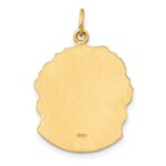 14k Hollow Polished and Satin Medium Jesus Medal - Image 3
