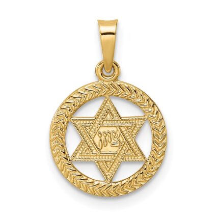 14k Polished and Textured Solid Star of David in Round Frame Pendant