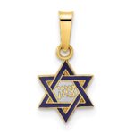 14k Polished Blue and White Enameled Solid Star of David Pendant