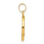 14K Polished and Satin Hollow Miraculous Medal Plain Back Pendant - Image 2