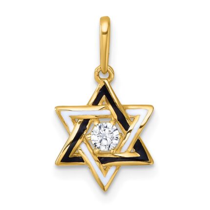 14k Polished Black and White Enameled and CZ Star of David Charm / Pendant